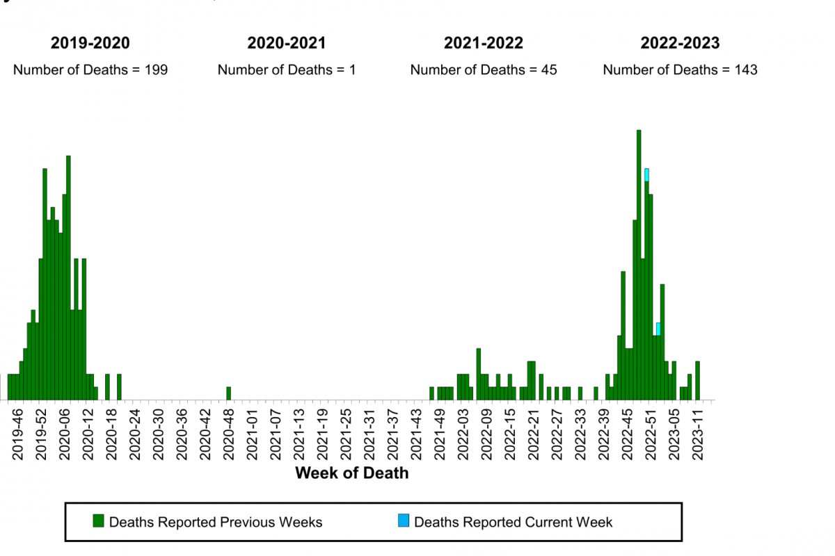 Influenzaassociated Pediatric Fatalities Returns to PrePandemic Level